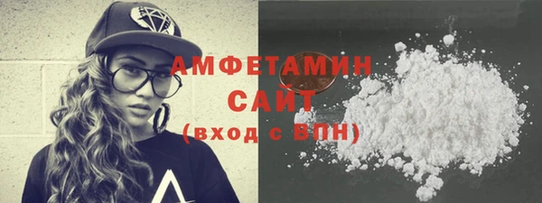 крисы Бородино