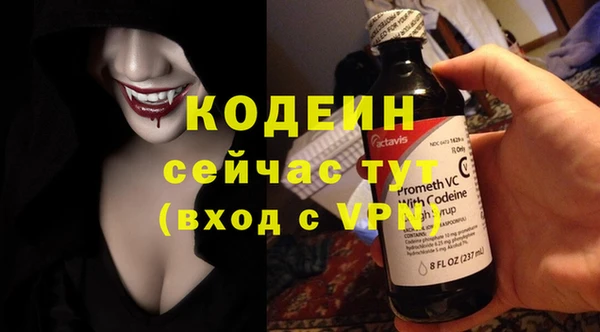 крисы Бородино