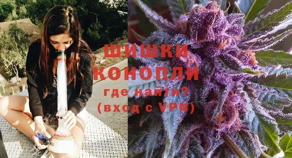 крисы Бородино