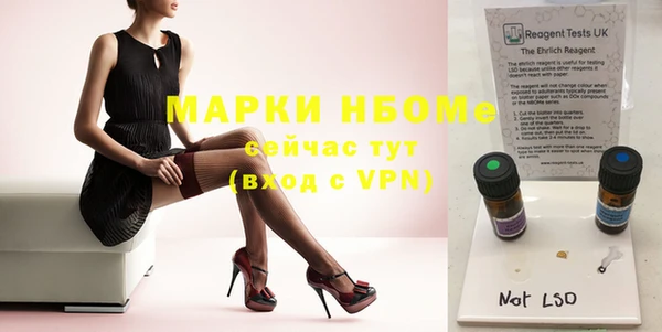 крисы Бородино