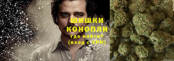 крисы Бородино