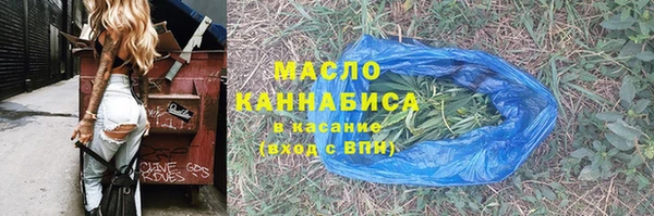 крисы Бородино