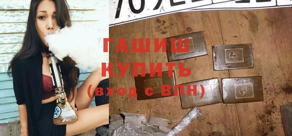 крисы Бородино