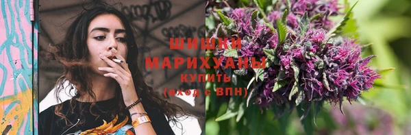крисы Бородино