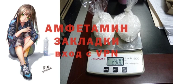 крисы Бородино