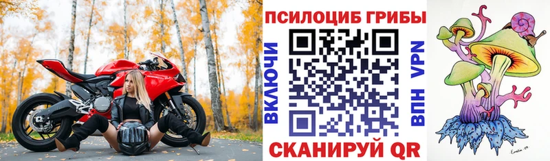 Галлюциногенные грибы прущие грибы  Нижнекамск 
